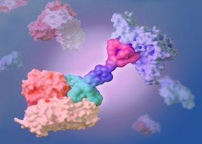 COVID Spike mRNA-LNP